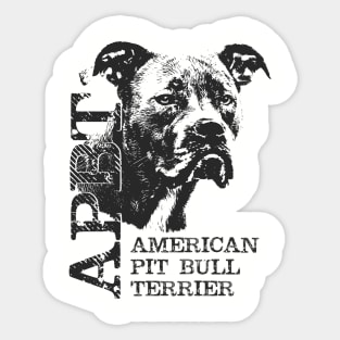 American Pit Bull Terrier - APBT Sticker